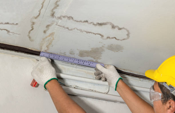 Reliable Water Damage contractor in Sharon, MS by Water Damage Irwin